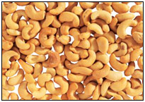 Cashew Nut